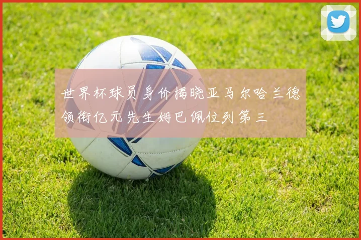 世界杯球员身价揭晓亚马尔哈兰德领衔亿元先生姆巴佩位列第三