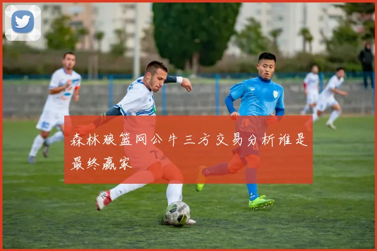 森林狼篮网公牛三方交易分析谁是最终赢家